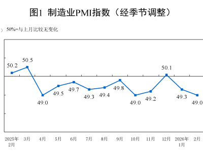 中国2月官方制造业PMI为49，低于预期