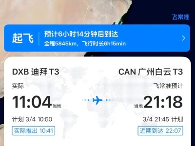 首架回国航班从阿联酋迪拜起飞