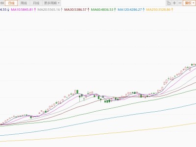 韩国股市一度反弹12%，芯片股领涨