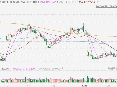 集运指数(欧线)主力合约大涨超19%