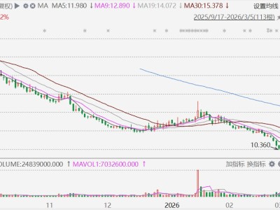 港股异动丨IFBH一度飙升超50%，否认“if”椰子水添加外源糖