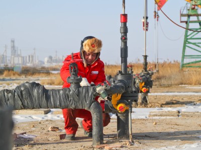 大庆油田：以硬核担当筑牢能源安全基石 奋进百年新征程再创新荣光