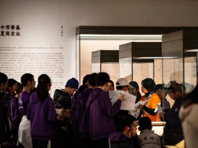 春节坚守清华艺博，郭冬梅：用热爱与责任守护观众观展体验