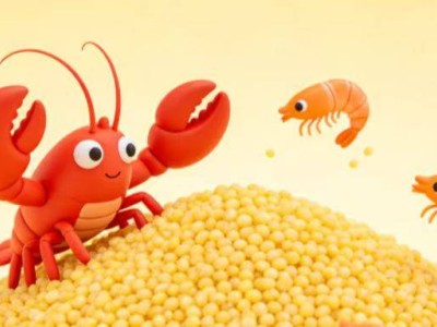 小米Xiaomi miclaw测试启动！AI“动手”操作手机，罗福莉团队成果亮相