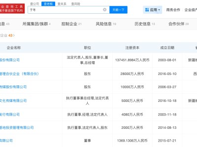 于冬所持多家公司股权已被冻结