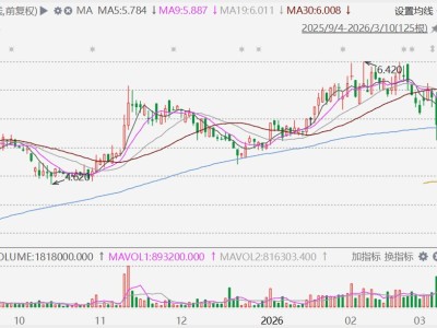 港股异动丨理文化工跌超10%，减派末期息