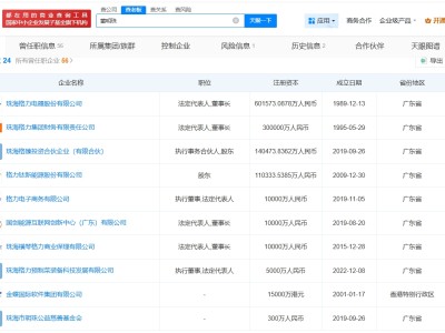 董明珠名下关联超20家企业