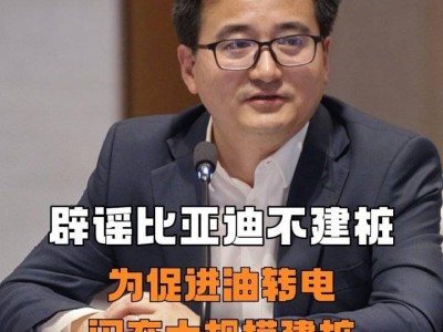李云飞回应比亚迪建桩争议：早期大规模布局，年底将建2万座闪充站