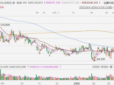 港股异动丨比亚迪股份大涨超8%，据报获10万辆车大单