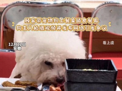 烤肉店“狗上桌”风波后续：商家停业赔偿，狗主人担责难逃