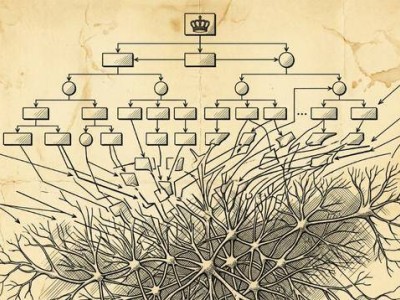 Adobe CEO任职18年将卸任 创纪录营收下AI战略引投资者关注