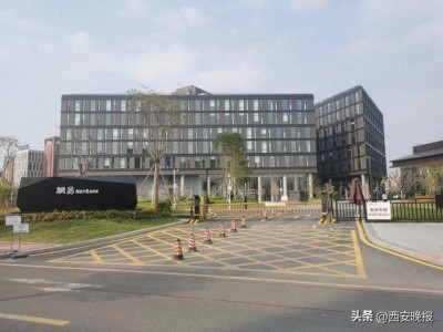 网易辟谣“用AI清退全部外包”：系业务调整下正常人员优化举措