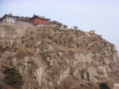 青绿之间见初心：张耀南用一生为泰山织就生态锦绣画卷