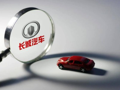 长城汽车提前布局显成效 欧拉闪电猫成中高端纯电市场“实力担当”