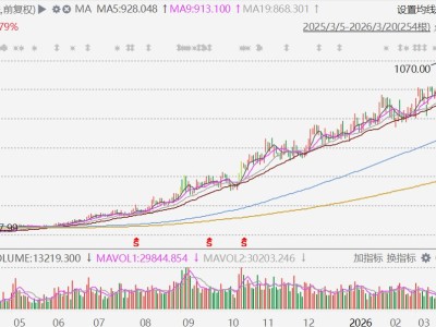 A股再现千元股：CPO人气王源杰科技股价破千，1年狂飙近7倍