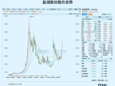 股价一年狂飙，锂盐巨头仍被低估？