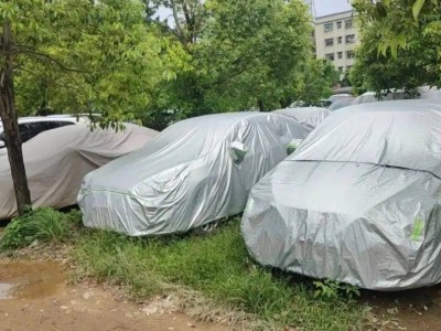 买车只为“一年两箱油”？听打工青年与城市白领讲述真实购车心声