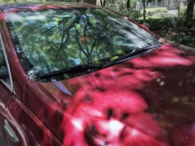 13年老司机血泪总结:避开这些坑,新车车漆多年依旧亮泽如新