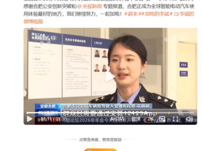 合肥开通全国首条机动车牌无人机专线 新能源车主提车即上牌 领牌零跑腿