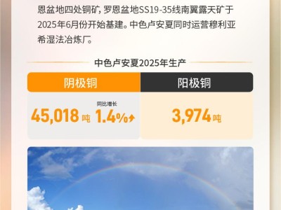 一图读懂中国有色矿业(1258.HK)2025年度业绩：生产运行总体平稳，高比例分红回馈股东