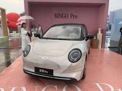 全新缤果Pro亮相：新复古设计遇上5门5座，A0级市场新选择来袭