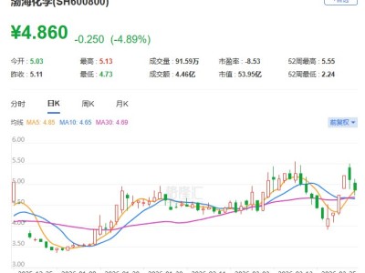 A股异动 | 渤海化学跌近5% 2025年净亏损6.46亿元