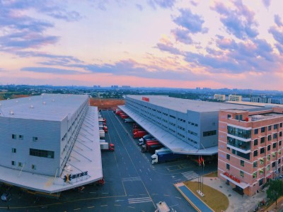 极兔（01519.HK）2025年报：经调整净利润4.3亿美元，步入价值验证期