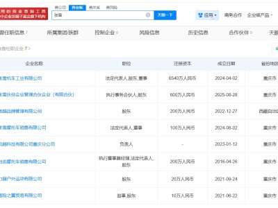 张雪机车创始人商业版图盘点