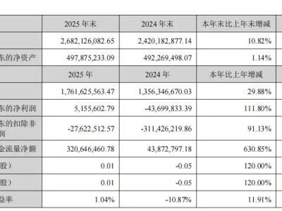 山东墨龙2025年营收增近三成 净利润扭亏但主业仍亏 海外战略成亮点