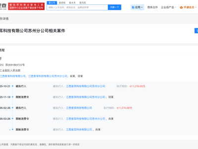 汪峰持股斐耳科技被限消