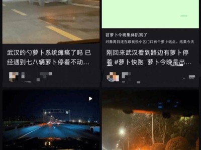 武汉“萝卜快跑”无人驾驶出租车集体停摆，安全兜底成发展关键议题