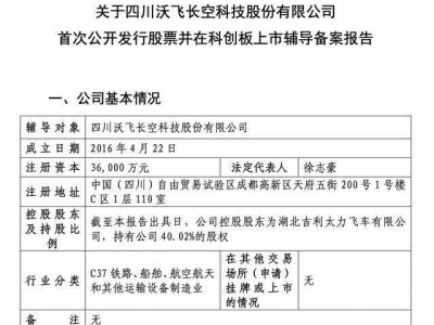 沃飞长空获近10亿融资后冲刺IPO 吉利系徐志豪接任董事长引关注