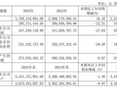 丸美生物2025年营收增长利润下滑 CFO薪酬反超董事长引关注