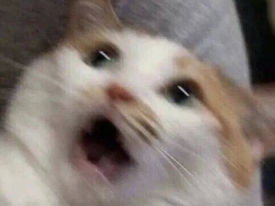 1元起打造“富豪朋友圈”？实况图售卖产业链背后的侵权乱象