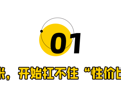 性价比神话破灭？雷军含泪涨价，小米“护城河”变“枷锁”
