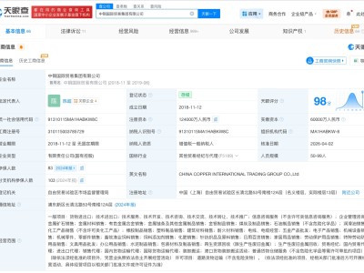 中铜国际贸易集团增资至12.4亿 增幅约107%