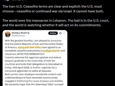 巴基斯坦总理证实：美伊已同意在黎巴嫩及所有地区实施即刻停火