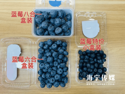 蓝莓价格“大跳水”来袭！海宁市场探秘，产业升级新机遇显现