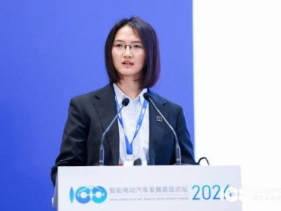 徐云：极氪9X凭技术实力获海内外认可，成中国品牌撬动全球市场利器