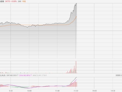 多晶硅主力合约拉升触及涨停
