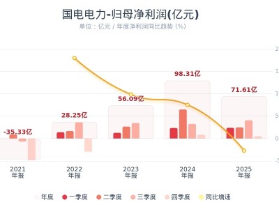 国电电力：2025年净利润71.61亿元 同比下降27.15%