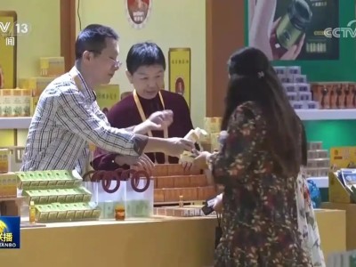 第六届消博会海南启幕 全球60余国消费精品齐聚展团数量创新高