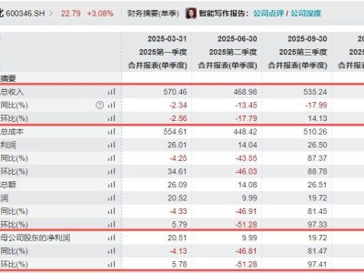 时隔九年营收再降！恒力石化2025年业绩承压，董事长坦言市场寒意与挑战