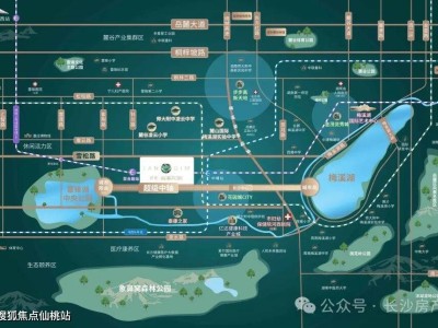 保利梅溪天珺:央企品质现房,双地铁交汇,周边商业医疗配套齐全