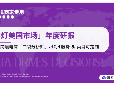 亚马逊美国站雾灯市场深度剖析：量价齐升，新品牌入局正当时