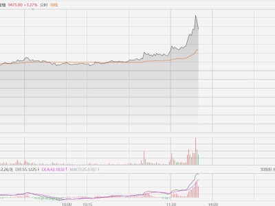 生猪主力合约大涨近5%，连续第二日上涨