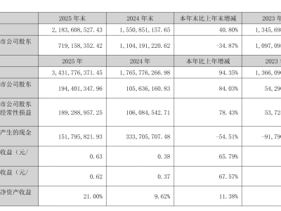 若羽臣2025年成绩单亮眼：营收34.3亿净利1.94亿 同比增幅显著