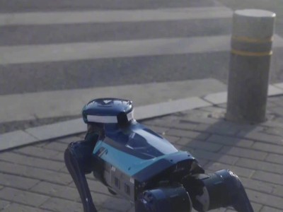 高德机器狗街头亮相：等红灯避行人，还能进店自主取奶茶