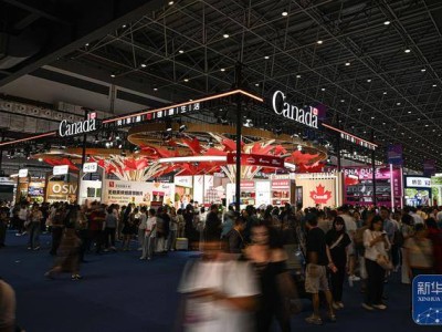 第六届消博会公众开放日：前沿精品齐聚，现场人气爆棚体验热潮不断