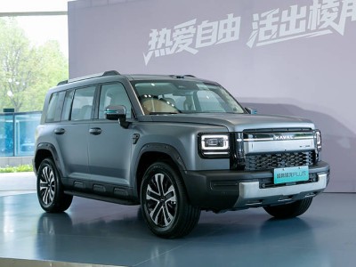 哈弗猛龙PLUS来袭：方盒子造型加长轴距 能否开拓新细分市场？